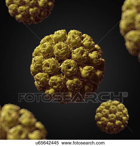 Stock Illustration - Murine polyomavirus, artwork. Fotosearch
