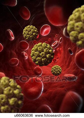 Murine polyomavirus, artwork View Large Illustration Stock Illustration - Murine polyomavirus, artwork. Fotosearch