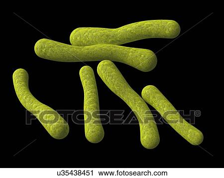Clip Art - Mycoplasma pneumoniae, artwork. Fotosearch