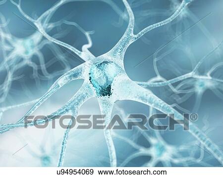 Stock Illustration - Nerve cell, artwork. Fotosearch