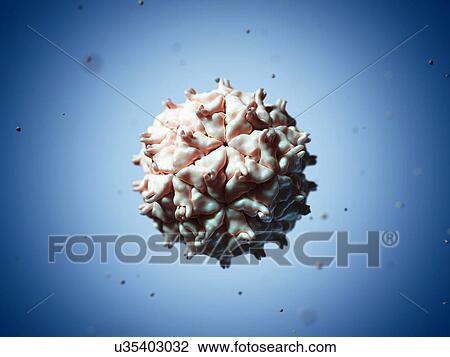 Nodamura virus particle, artwork View Large Illustration Drawing - Nodamura virus particle, artwork. Fotosearch