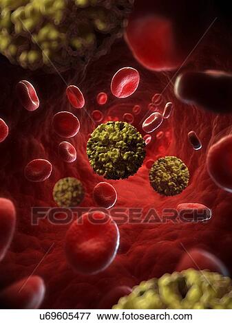 Norovirus, artwork View Large Illustration Stock Illustration - Norovirus, artwork. Fotosearch