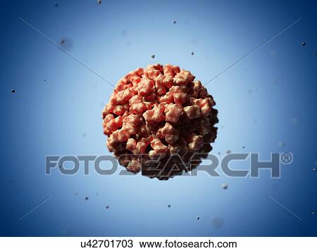 Norovirus particle, artwork View Large Illustration Drawing - Norovirus particle, artwork. Fotosearch