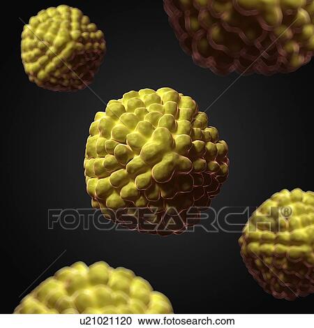 Clipart - Nudaurelia capensis omega, artwork. Fotosearch