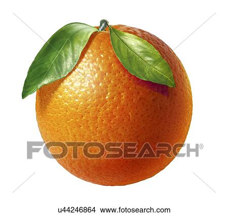 Orange, artwork View Large Illustration Stock Illustration - Orange, artwork. Fotosearch