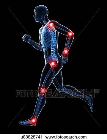 Painful joints, artwork View Large Illustration Clip Art - Painful joints, artwork. Fotosearch