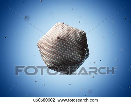 Drawing - Paramecium bursaria Chlorella virus 1. Fotosearch
