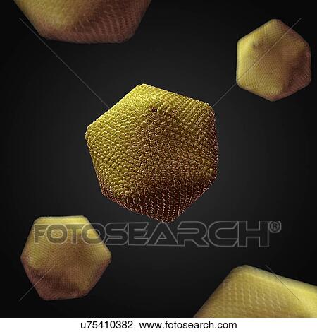 Drawing - Paramecium bursaria Chlorella virus 1. Fotosearch