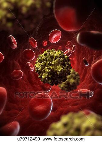 Clipart - Picobirnavirus, artwork. Fotosearch