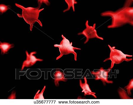 Stock Illustration of Platelets, artwork u35677777 - Search EPS Clipart, Drawings, Decorative
