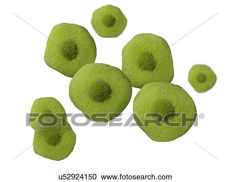Clipart - Pneumocystis, artwork. Fotosearch