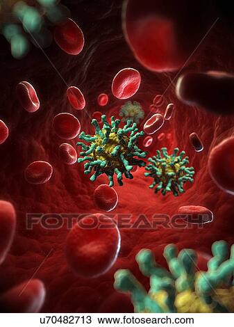 Poliovirus-receptor complex, artwork View Large Illustration Drawing - Poliovirus-receptor complex, artwork. Fotosearch