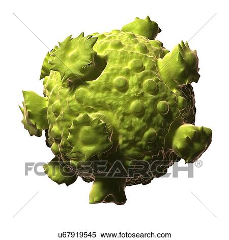 Stock Illustration - Reo virus, artwork. Fotosearch