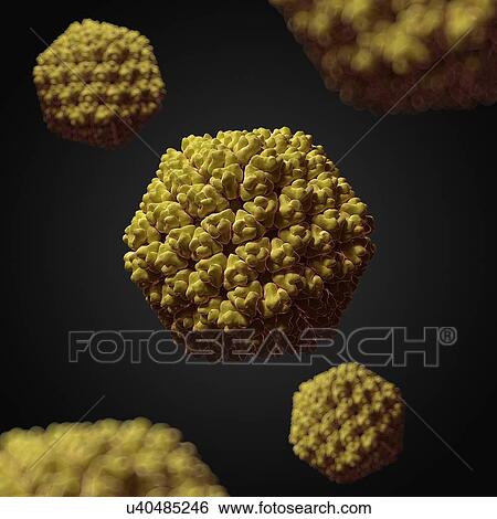 Rice dwarf virus, artwork View Large Illustration Stock Illustration - Rice dwarf virus, artwork. Fotosearch