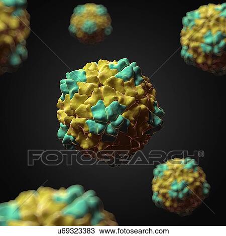 Rice yellow mottle virus, artwork View Large Illustration Drawing - Rice yellow mottle virus, artwork. Fotosearch