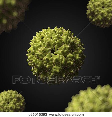 Drawing - RNA hairpin virus, artwork. Fotosearch