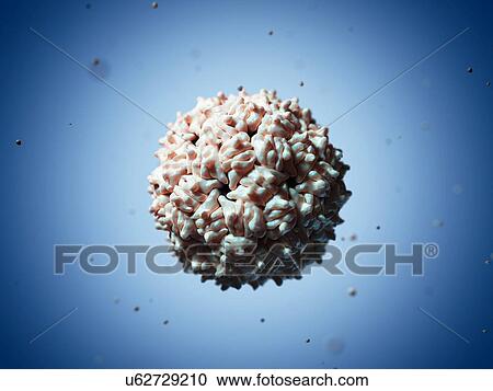 Clipart - RNA hairpin virus particle, artwork. Fotosearch