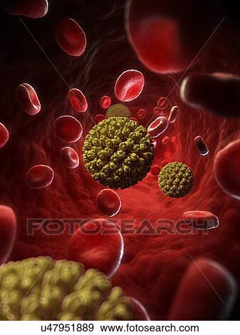 Rotavirus, artwork View Large Illustration Stock Illustration - Rotavirus, artwork. Fotosearch