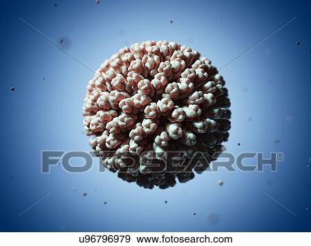 Rotavirus particle, artwork View Large Illustration Stock Illustration - Rotavirus particle, artwork. Fotosearch