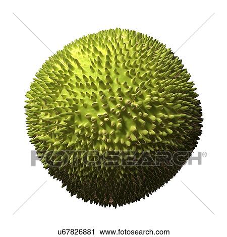 Rubella virus, artwork View Large Illustration Clip Art - Rubella virus, artwork. Fotosearch