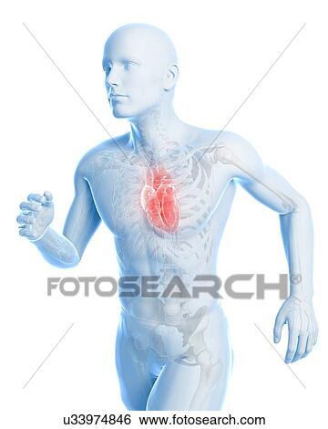 Runner heart, artwork View Large Illustration Stock Illustration - Runner heart, artwork. Fotosearch