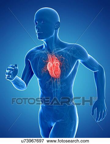 Stock Illustration - Runner heart, artwork. Fotosearch