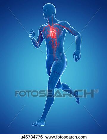 Runners heart, artwork View Large Illustration Stock Illustration - Runners heart, artwork. Fotosearch