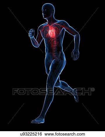 Runners heart, artwork View Large Illustration Stock Illustration - Runners heart, artwork. Fotosearch