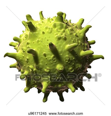 SARS virus, artwork View Large Illustration Stock Illustration - SARS virus, artwork. Fotosearch