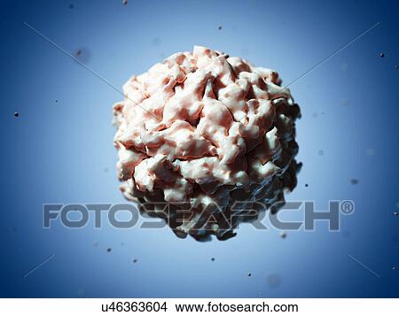 Stock Illustration - Satellite panicum mosaic virus, artwork. Fotosearch