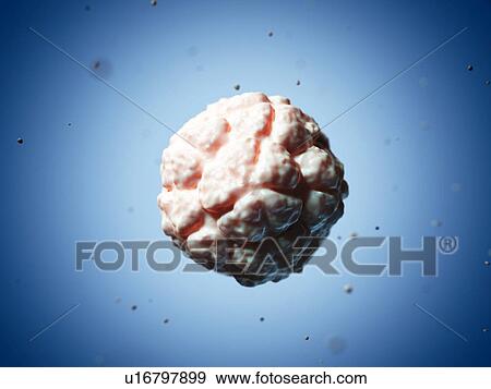 Satellite tobacco necrosis virus, artwork View Large Illustration Stock Illustration - Satellite tobacco necrosis virus, artwork. Fotosearch
