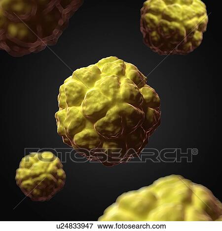 Satellite tobacco necrosis virus, artwork View Large Illustration Stock Illustration - Satellite tobacco necrosis virus, artwork. Fotosearch