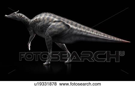 Stock Illustration - Saurolophus dinosaur, artwork. Fotosearch