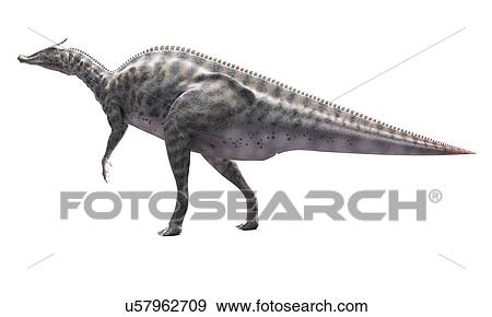 Stock Illustration - Saurolophus dinosaur, artwork. Fotosearch