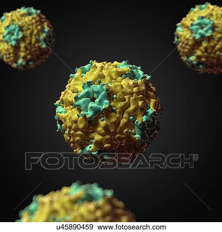 Stock Illustration - Seneca Valley virus, artwork. Fotosearch