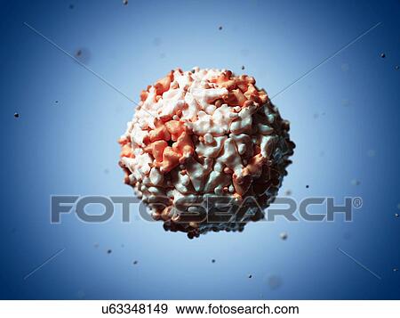 Seneca Valley virus particle, artwork View Large Illustration Stock Illustration - Seneca Valley virus particle, artwork. Fotosearch