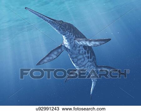 Shonisaurus marine reptile, artwork View Large Illustration Drawing - Shonisaurus marine reptile, artwork. Fotosearch