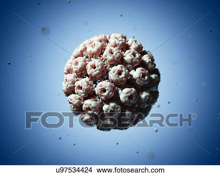 Simian virus 40 particle, artwork Stock Illustration | u97534424