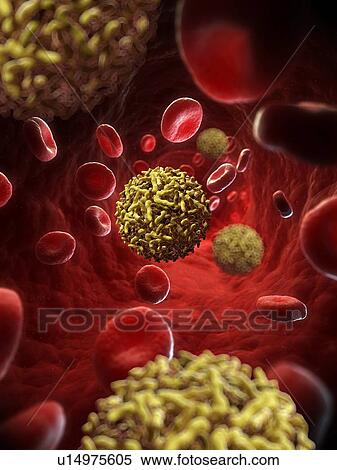 Sindbis virus, artwork View Large Illustration Stock Illustration - Sindbis virus, artwork. Fotosearch