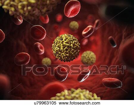 Sindbis virus, artwork View Large Illustration Stock Illustration - Sindbis virus, artwork. Fotosearch