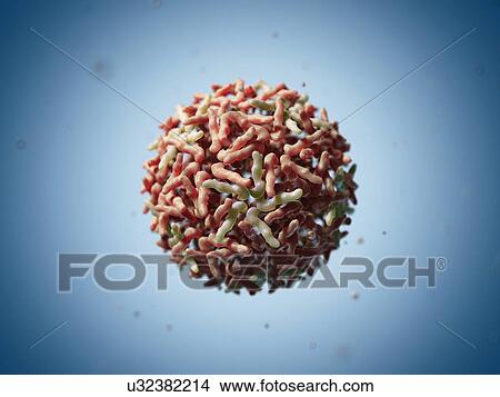 Stock Illustration - Sindbis virus particle, artwork. Fotosearch