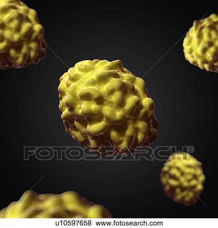 Small Pox, artwork View Large Illustration Stock Illustration - Small Pox, artwork. Fotosearch