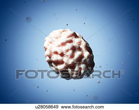 Smallpox virus particle, artwork View Large Illustration Stock Illustration - Smallpox virus particle, artwork. Fotosearch