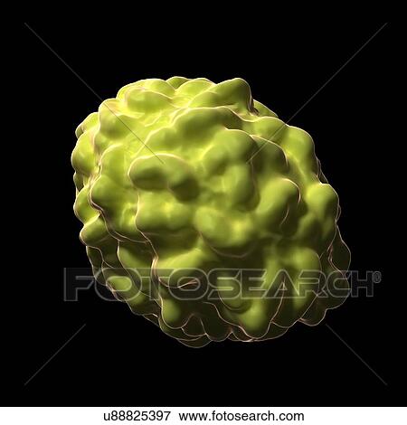 Stock Illustration - Smallpox virus particle, artwork. Fotosearch