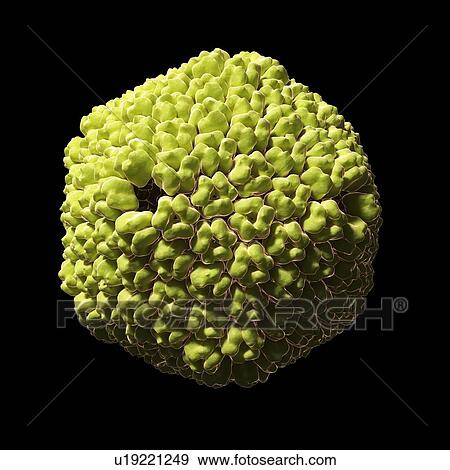 Sputnik virophage particle, artwork View Large Illustration Stock Illustration - Sputnik virophage particle, artwork. Fotosearch