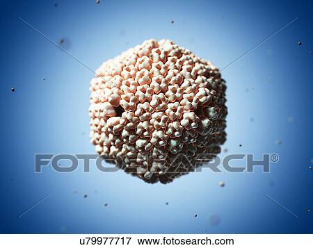 Sputnik virophage particle, artwork View Large Illustration Stock Illustration - Sputnik virophage particle, artwork. Fotosearch