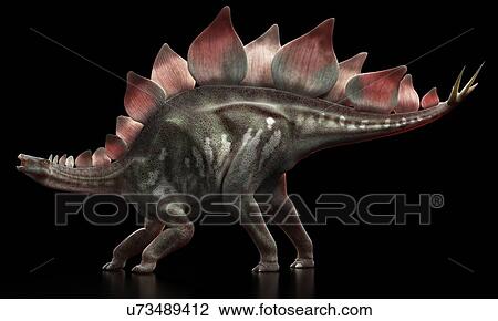 Stegosaurus dinosaur, artwork View Large Illustration Drawing - Stegosaurus dinosaur, artwork. Fotosearch