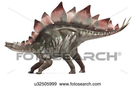 Stegosaurus dinosaur, artwork View Large Illustration Stock Illustration - Stegosaurus dinosaur, artwork. Fotosearch