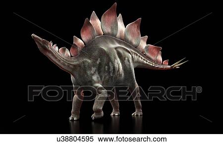 Stock Illustration - Stegosaurus dinosaur, artwork. Fotosearch