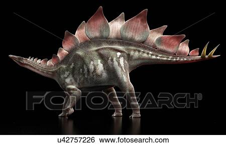 Stegosaurus dinosaur, artwork View Large Illustration Stock Illustration - Stegosaurus dinosaur, artwork. Fotosearch